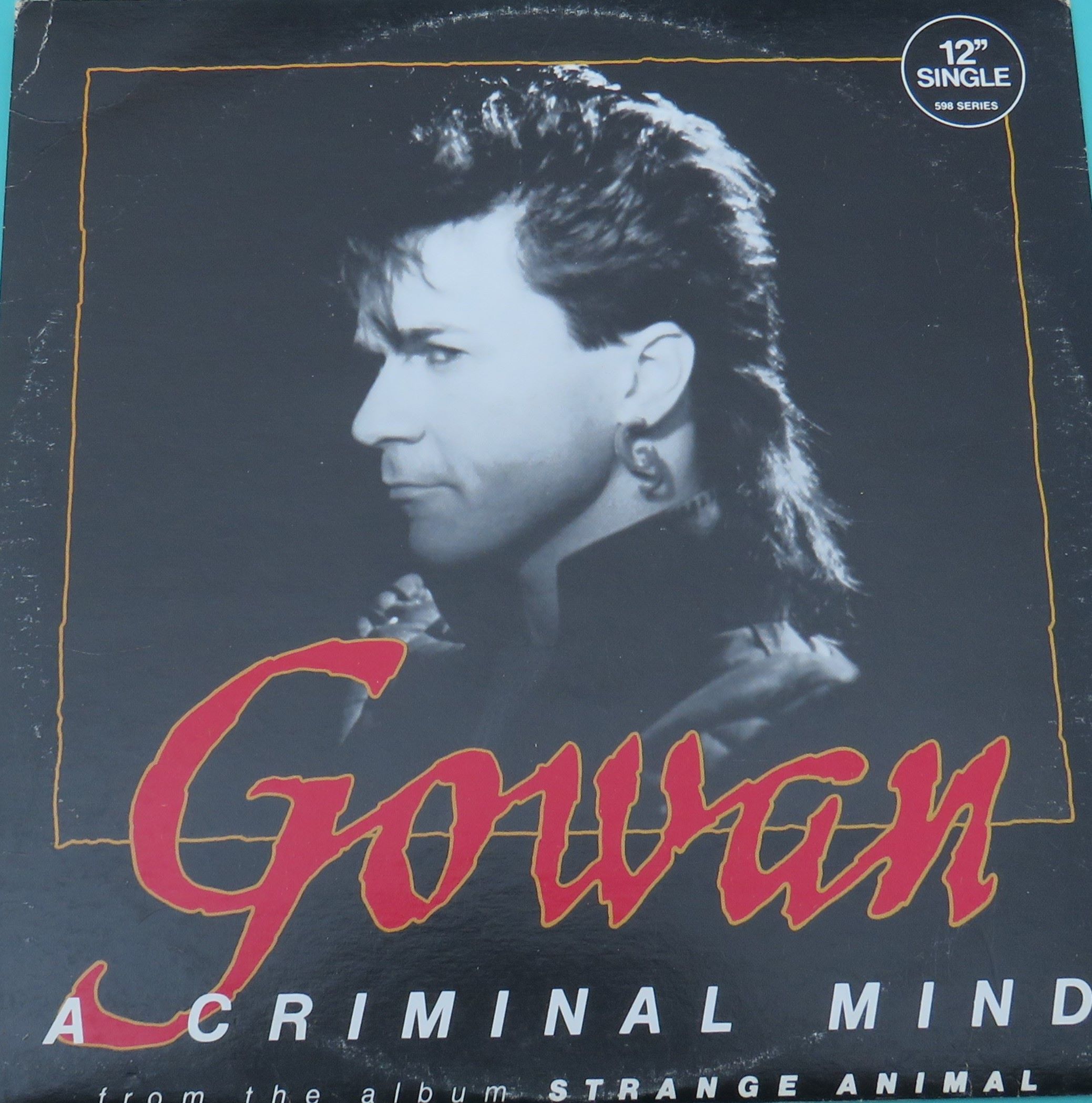 A criminal mind (12'') maxi